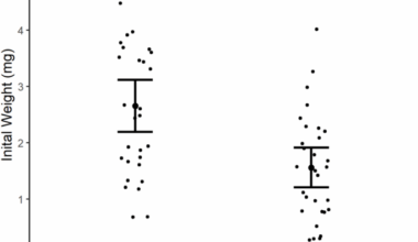 Parental social environment has transgenerational effects on zebrafish (Danio rerio) growth