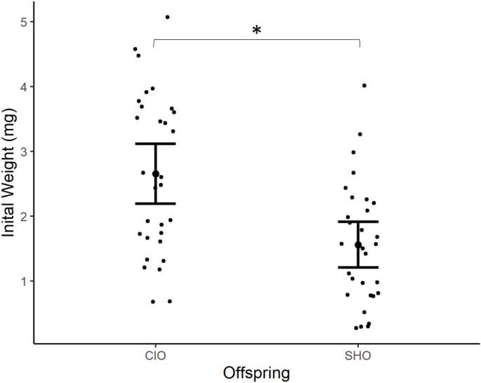 Parental social environment has transgenerational effects on zebrafish (Danio rerio) growth