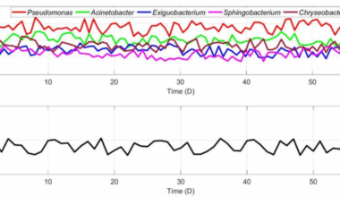 Formation and sustenance mechanism of bacterial diversity in nutrient-deficient environment of indoor stadium