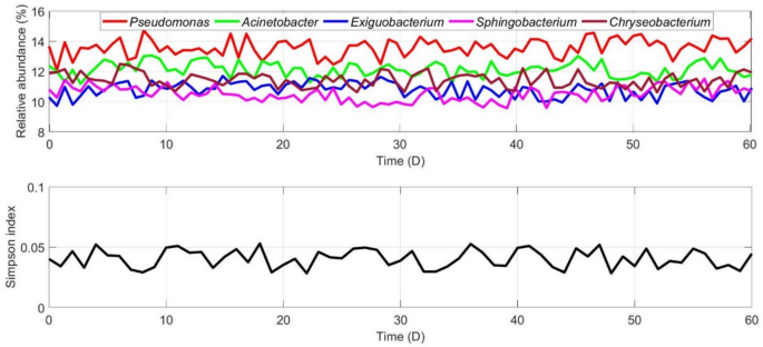 Formation and sustenance mechanism of bacterial diversity in nutrient-deficient environment of indoor stadium
