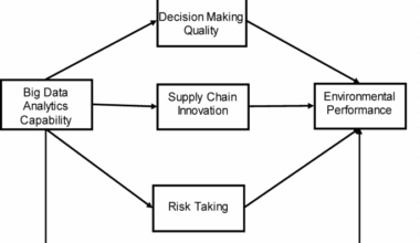 How big data analytics improves hospital environmental performance through supply chain innovation, decision quality, and risk taking