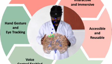 A decentralized privacy-preserving XR system for 3D medical data visualization using hybrid biometric cryptosystem