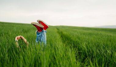 42-Tage-Wettertrend für Deutschland: August 2025 - Hitze in Schüben, Regen ungleich verteilt
