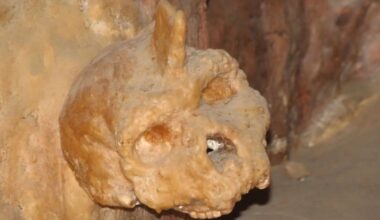 'Neither human nor neanderthal' 300,000-year-old skull baffles scientists - Science - News
