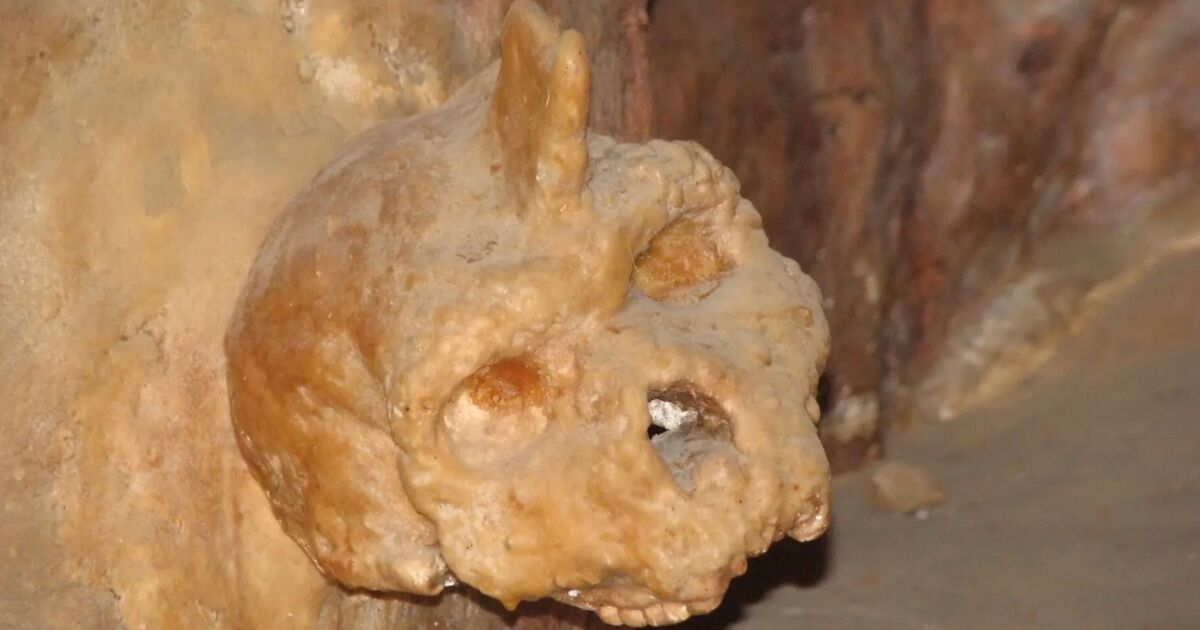 'Neither human nor neanderthal' 300,000-year-old skull baffles scientists - Science - News