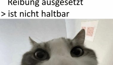 mindestabreibbarkeitsdatum