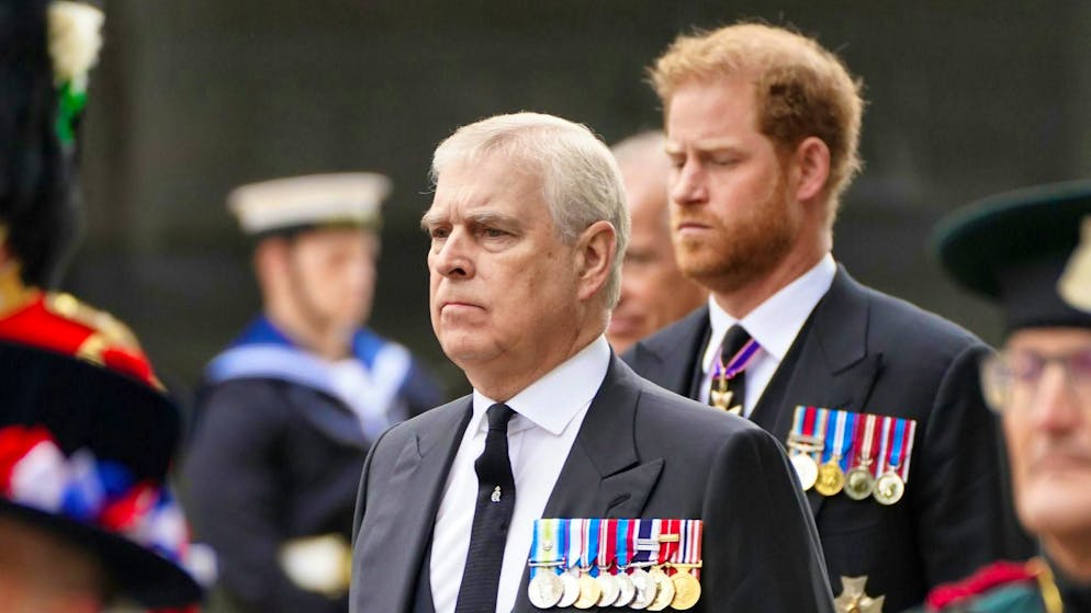 A new book reports on an alleged row between Prince Andrew (left) and Prince Harry.