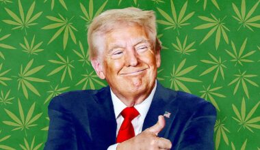 Trump Considers Big Gift for Marijuana Enthusiasts