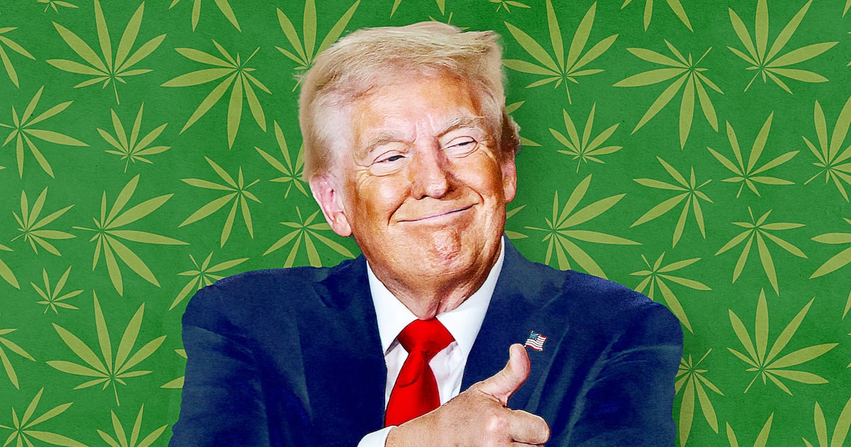 Trump Considers Big Gift for Marijuana Enthusiasts