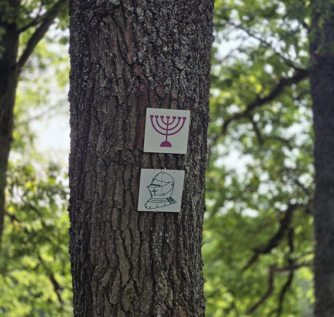 What do these signs mean?