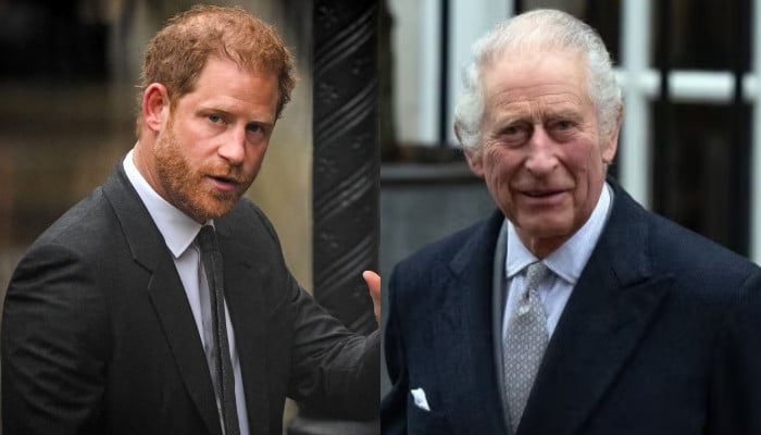 Prince Harry under fire for 'exploiting' King Charles' overseas trips