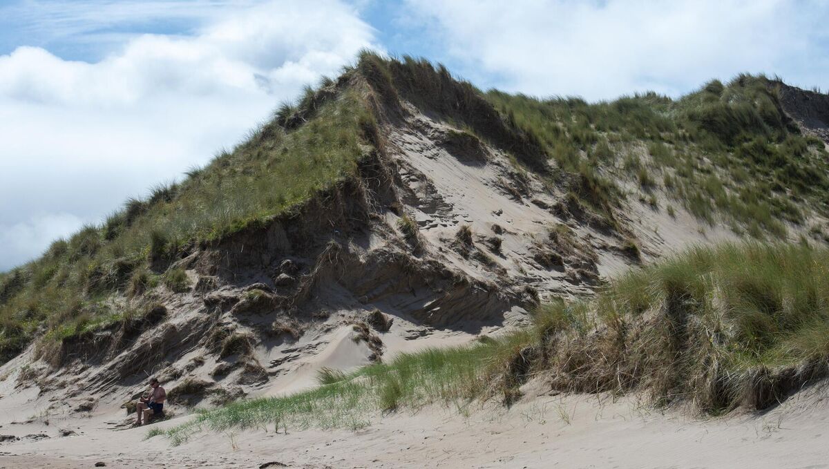 Sand dunes which have been damaged by coastal erosion at Rossbeigh beach in Kerry. Picture: Dan Linehan