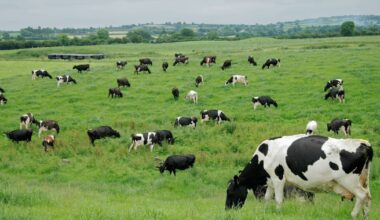 China extends probe into EU dairy imports for another six months