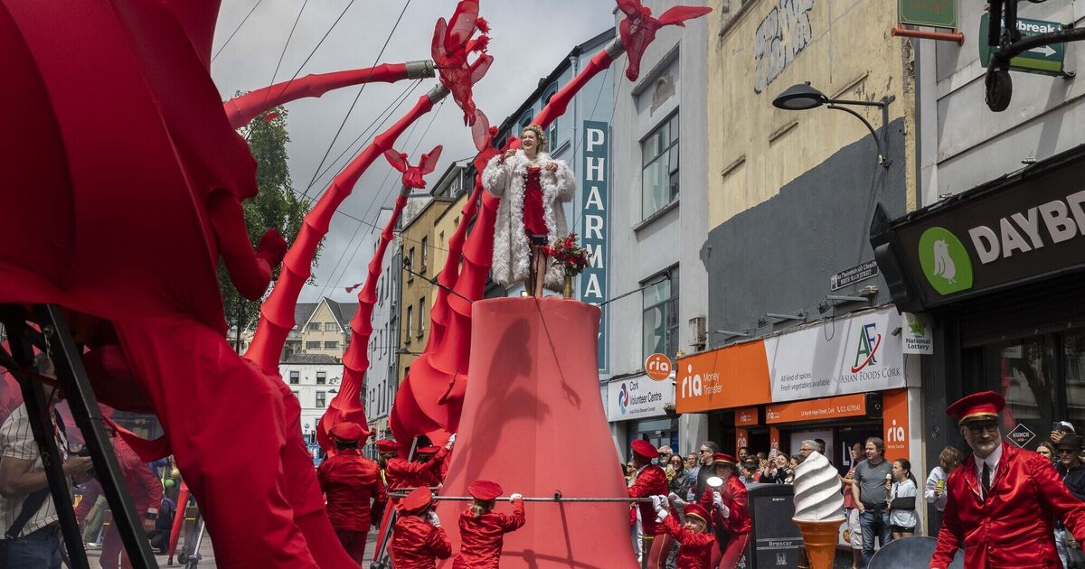 The Ireland we want is built by artists, and they need income