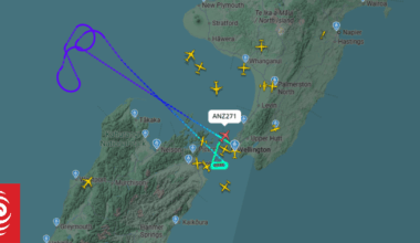 Air traffic control systems outage will be scrutinised, industry figure says
