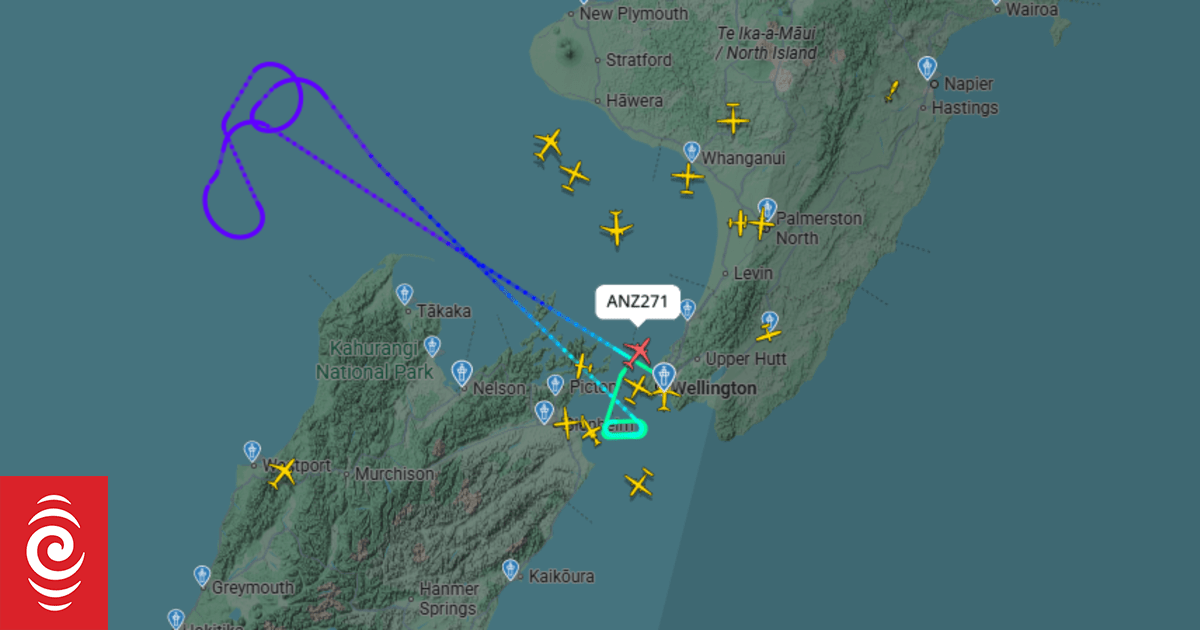 Air traffic control systems outage will be scrutinised, industry figure says