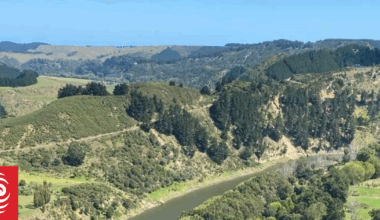 Three people, two dogs rescued from cable car over Whanganui River