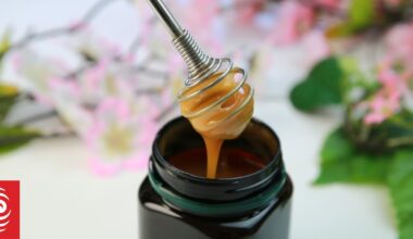 New Zealand's largest mānuka honey producer considers rich lister's takeover bid