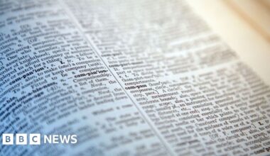 'Skibidi' and 'tradwife' among words added to Cambridge Dictionary