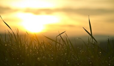 RTL Today - The return of summer: Luxembourg’s weather set to brighten by week’s end