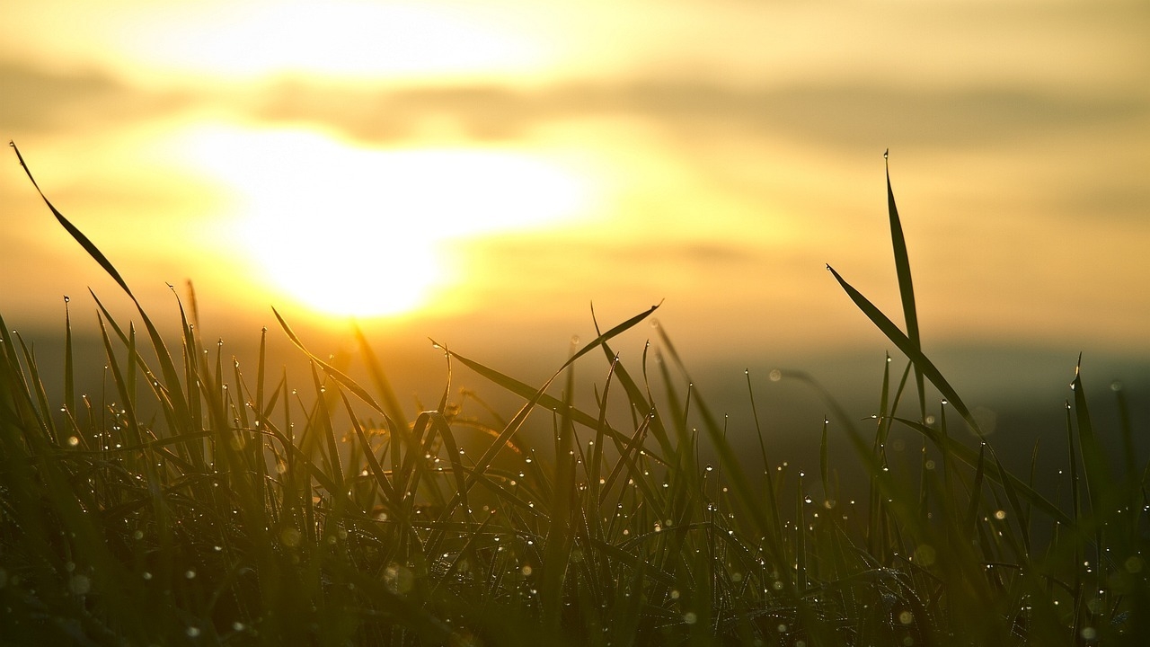RTL Today - The return of summer: Luxembourg’s weather set to brighten by week’s end