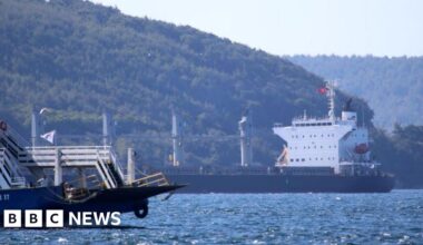 Wildfires force Turkey to shut Dardanelles Strait to shipping