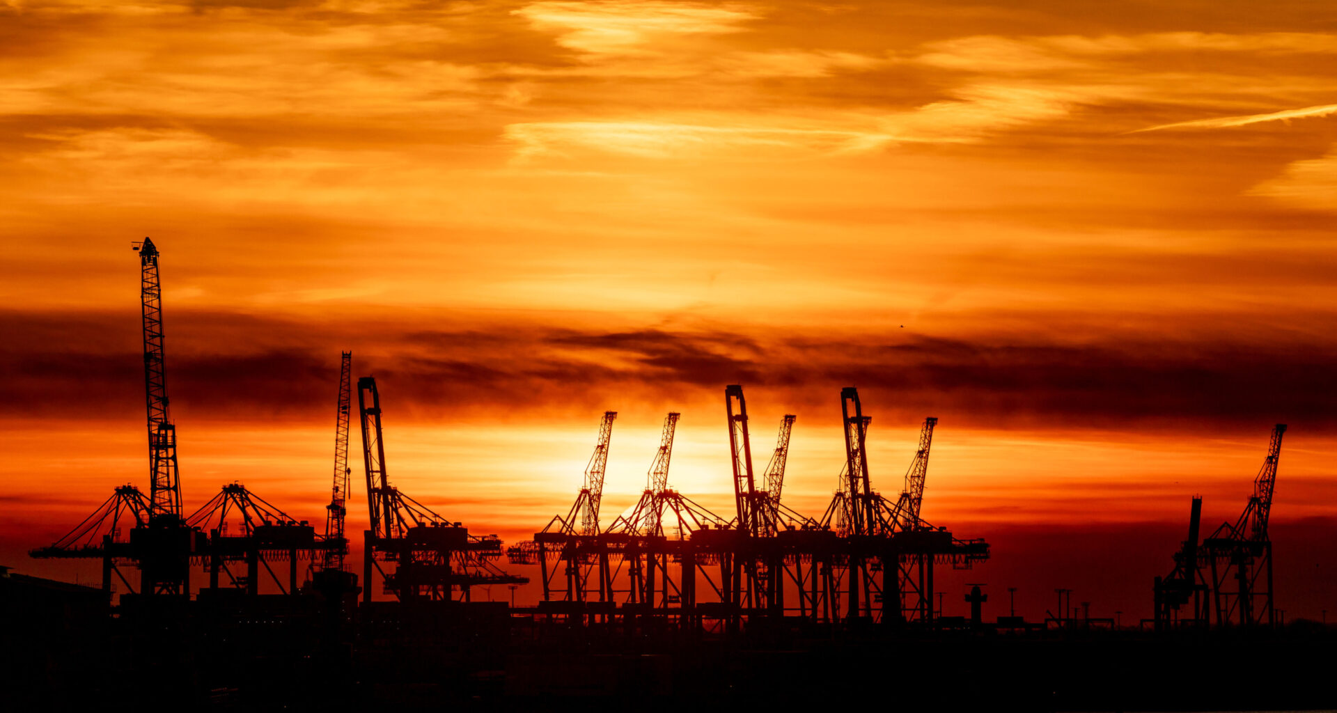 No brain, no brawn: Trump 2.0 makes an EU Economic Security Network essential