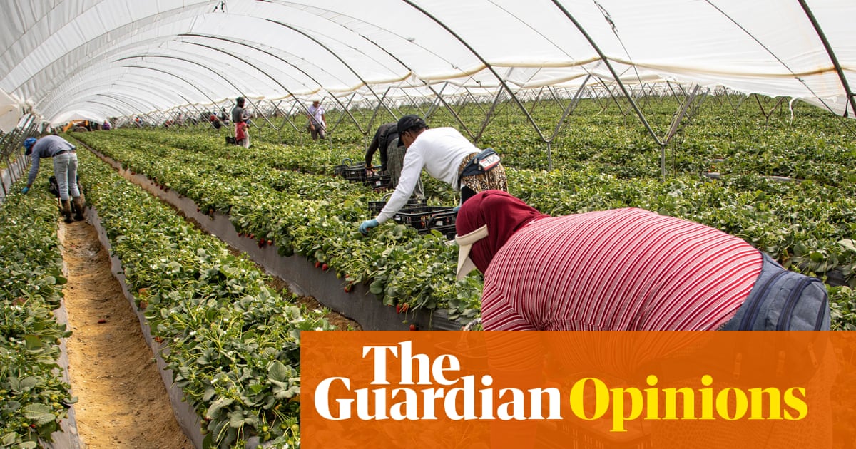 Spain’s economy is the envy of Europe, but the plight of its strawberry pickers tells another story | Tone Sutterud