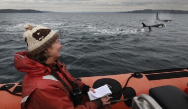 Environment reporter Lynda Mapes dove into Seattle’s Elliott Bay, and found some big changes