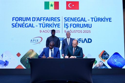 Türkiye, Senegal to take steps to reach $3B in bilateral trade