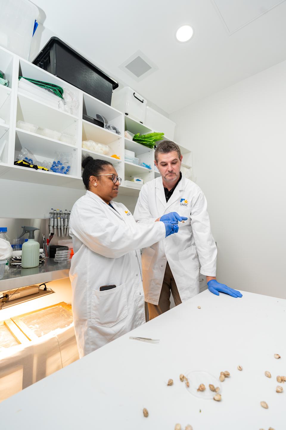 Professor Scott Cummins (right) with PhD candidate and lead author Inaliguyau Lutschini (left) examining snails in their lab.