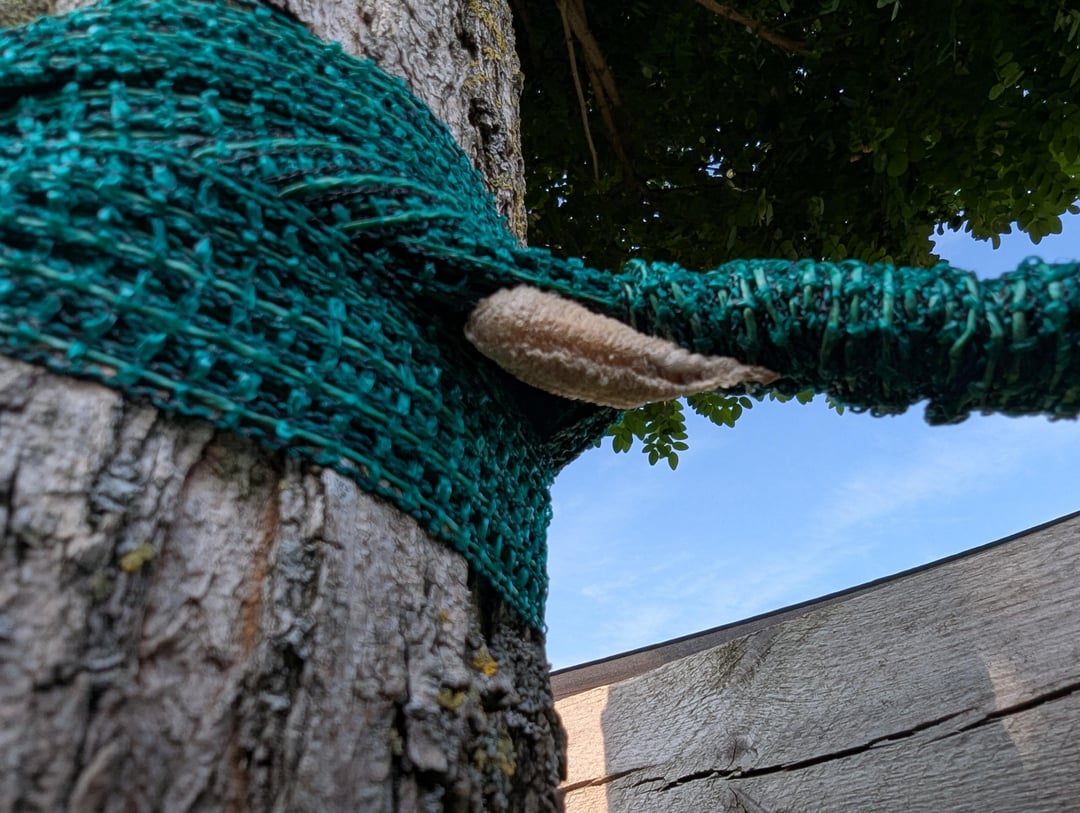 Update: Gottesanbeterin hat glaube ich ein "Ei" gelegt.