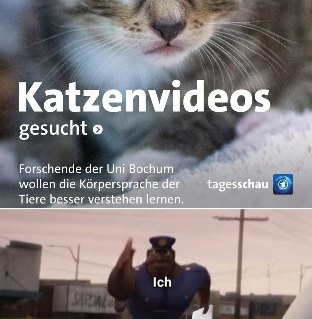 Ich🐈iel