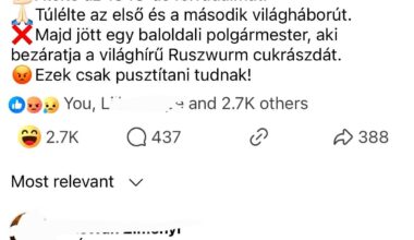 Bohár kalandjai a faszerdőben