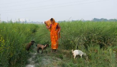 Stronger Together: Women in Agriculture in Rural India Unite Against Climate Change Threats