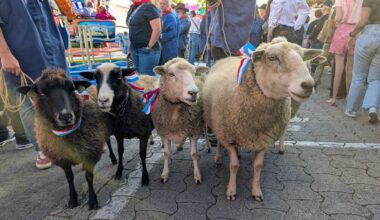 Volksfest Schueberfouer: Eröffnung mit Blasmusik und Schafparade in Luxemburg