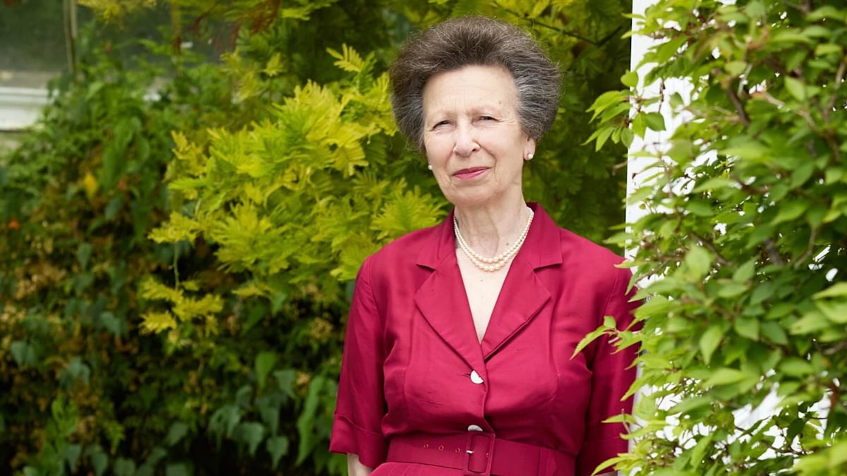 Royal Family live: New image of Princess Anne released as royals mark VJ Day