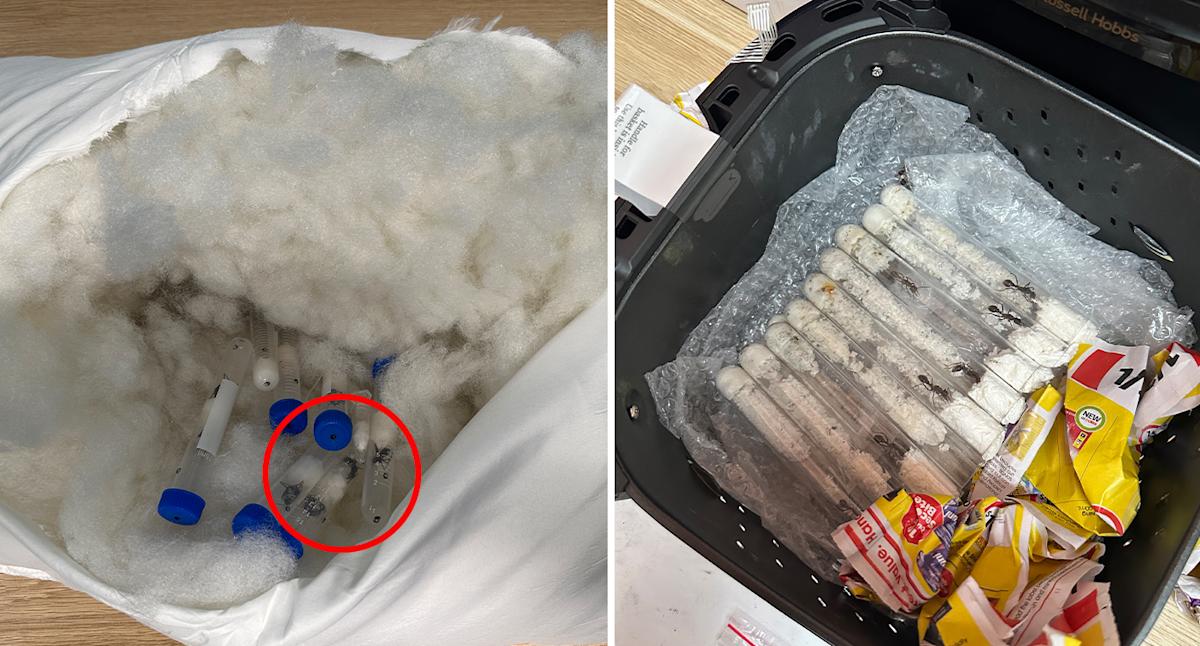 Australia Post workers' worrying find in 27 packages prompts $330,000 warning