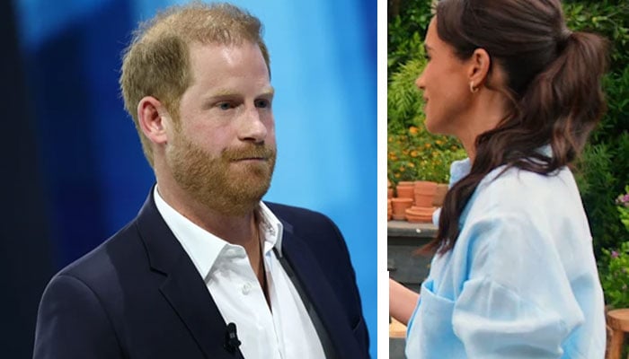 Prince Harry, Meghan Markle hit with pretty major advice about making wrong waves