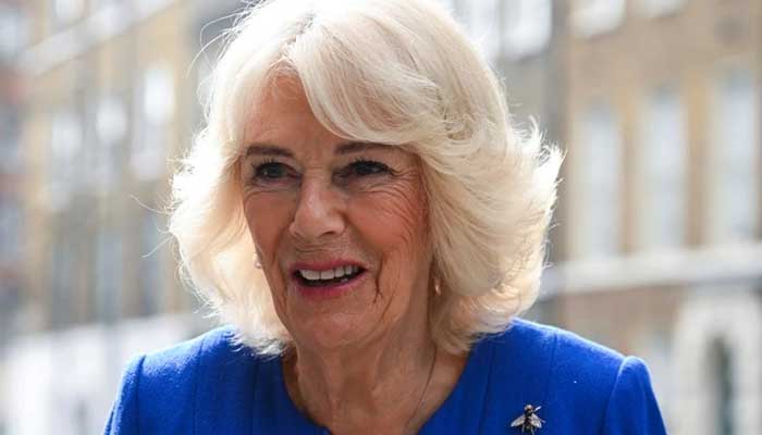 Queen Camilla: File photo