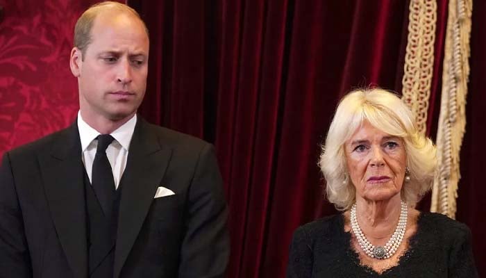 Prince William plans to strip Camilla of her royal privileges