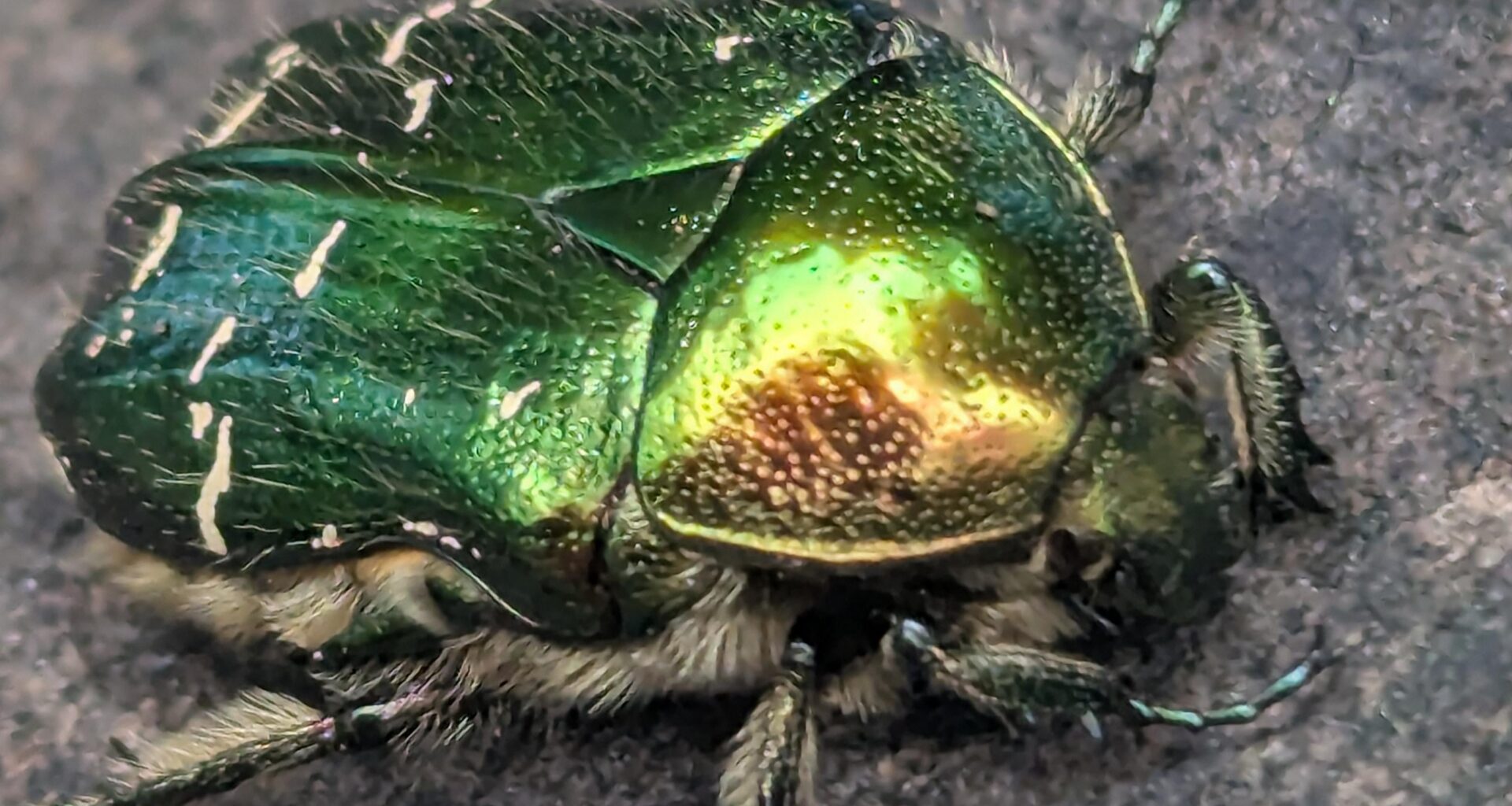 Na, wen haben wir denn da?