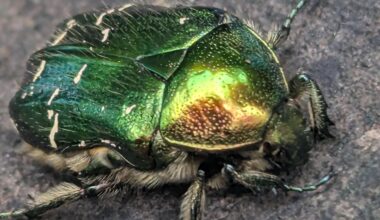 Na, wen haben wir denn da?