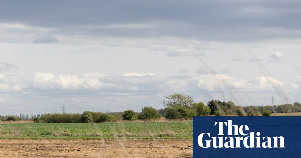Nature loss will cut UK GDP by 5% without action from private sector, say experts | Conservation