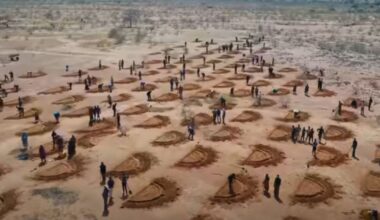 The African country using refugees to turn Sahara Desert green | World | News
