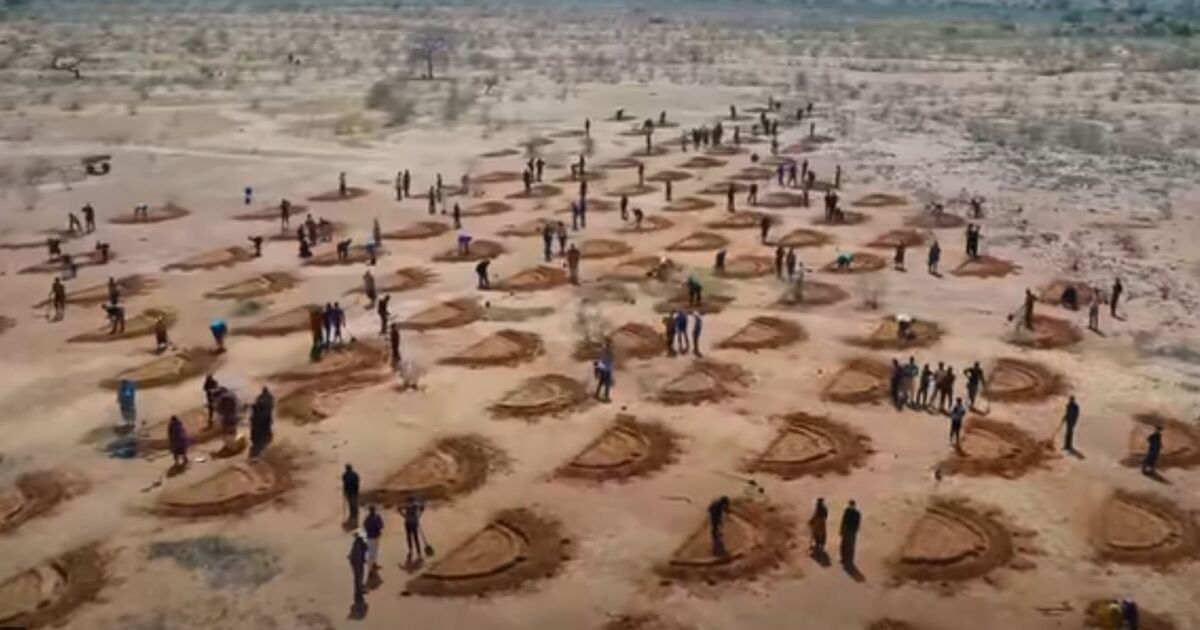 The African country using refugees to turn Sahara Desert green | World | News