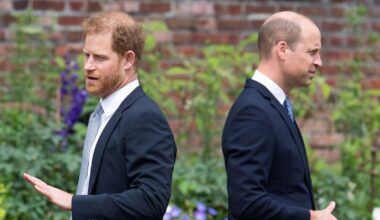 Prince Andrew and Harry 'should stand as warning' to William over 'difficult' family issue | Royal | News