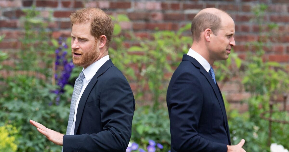 Prince Andrew and Harry 'should stand as warning' to William over 'difficult' family issue | Royal | News