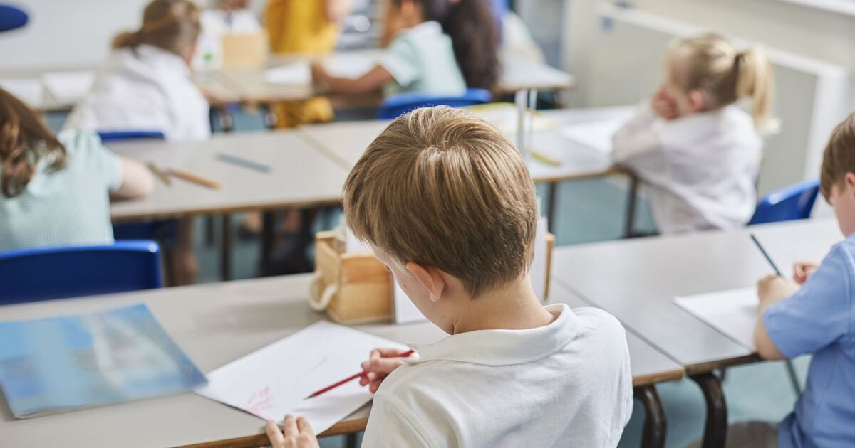 Wales set to be overtaken by Romania in education by 2040 - new report | Politics | News