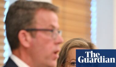 ‘Dump it, or we’ll dump you’: secretive consultancy group sends Liberal MPs barrage of emails over net zero policy | Coalition